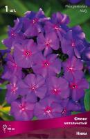 Флокс метельчатый Ники (I) 1 шт 