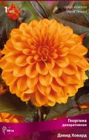 Георгина декоративная Давид Ховард (I) 1 шт 741923