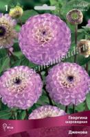 Георгина шаровидная Дженова (I) 1 шт