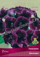 Глоксиния Виолацея (5/6) 1 шт 