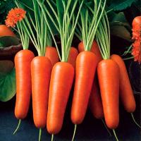 Морковь Московская зимняя 500г