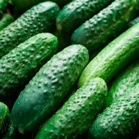 Огурец Альянс Бейо 2640 F1 250шт