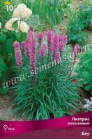 Лиатрис колосковый Блу 