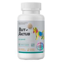 Витамины для щенков Актив С-М 120таб