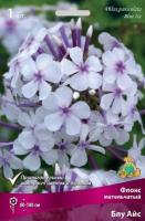 Флокс метельчатый Блу Айс (I) 1 шт 
