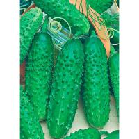 Гавриш Фермерская Огурец Гирлянда F1 100шт 