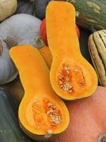 Свекла Мулатка 400г