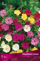 Мирабилис ялапа смесь окрасок