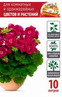 Грунт Царица Цветов для комнатных цветов 10л