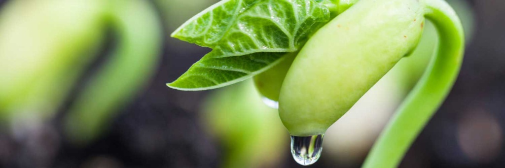 1500x5003.jpg 1500x5003.jpg