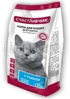 коты-с-рыбой коты-с-рыбой