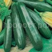 Без названия (2)