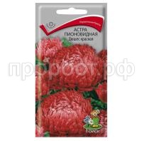 Астра-пионовидная-Дюшес-красная-0,3г-Поиск Астра-пионовидная-Дюшес-красная-0,3г-Поиск