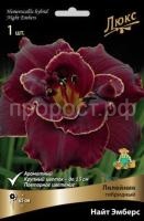 Лилейник гибридный Найт Эмберс Лилейник гибридный Найт Эмберс