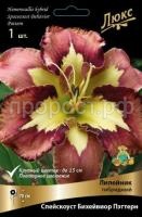 Лилейник гибридный Спейскоуст Бихейвиор Пэттерн_черный