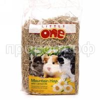 f59f08460576343c6ea4589bb00042c2