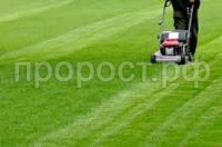 Без названия Без названия