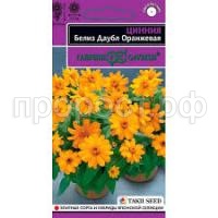 Без названия (3)