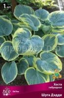 Хоста гибридная Шуга Дэдди