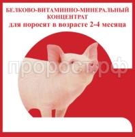 бвмк поросята 2-4