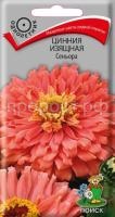 Цинния изящная Сеньора Цинния изящная Сеньора
