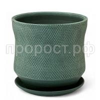 лен эвкал цил