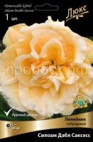 Лилейник гибридный Силоам Дабл Саксесс_черный