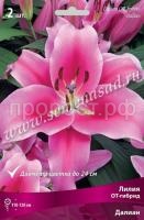 Лилия ОТ-Гибрид Далиан (14-16) 2 шт 736193