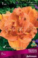 Лилейник гибридный Даблишес Лилейник гибридный Даблишес