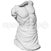 культурист