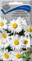 Нивяник наибольший Серебряная принцесса Нивяник наибольший Серебряная принцесса