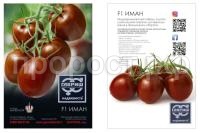 Kartochka_Iman Kartochka_Iman