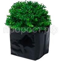 П125457_0 П125457_0