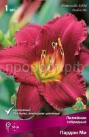 Лилейник гибридный Пардон Ми Лилейник гибридный Пардон Ми