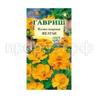 Без названия (11)