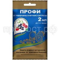 Профи-2-пакет 2023 копия