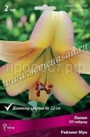 Лилия ОТ-Гибрид Райзинг Мун (14-16) 2 шт 736224 Лилия ОТ-Гибрид Райзинг Мун (14-16) 2 шт 736224