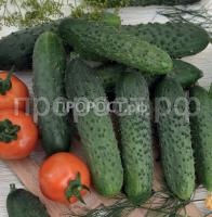 Огурец Реванш F1