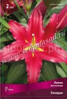 Лилия Восточная Бакарди (14-16) 2 шт 675462