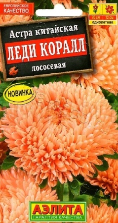 Астра Леди корал лососевая 25шт 
