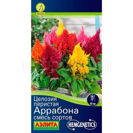 Аэлита Целозия Перистая Аррабона смесь 7шт 