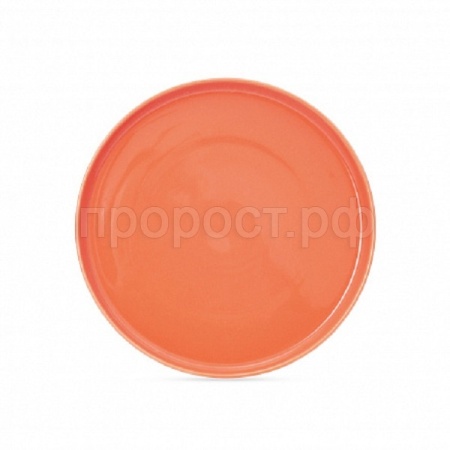 Тарелка десертная CORAL GOLD 21см DM3001-1 /6шт/DOMENIK