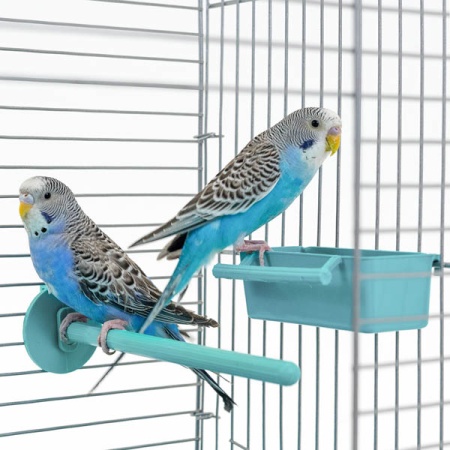 Клетка д/птиц ЛОРА-1 ECO 58*40*48см (укомплект) 1 секция бирюзовая/4610/Дарэлл