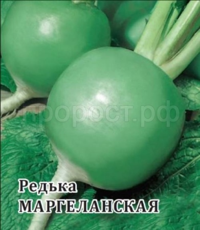 Редька Маргеланская 25г